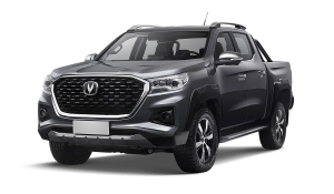 Коврики в салон (2 ряда) Changan Hunter Plus 2023-н.в.