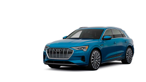 Коврики в салон (2 ряда) Audi e-tron I 2018-н.в.