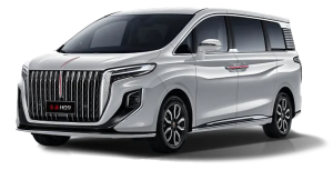 Коврики в салон (2 ряда) Hongqi HQ9 2022-н.в.*