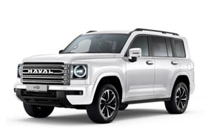 Коврики в салон (2 ряда) Haval H9 II 2024-н.в.