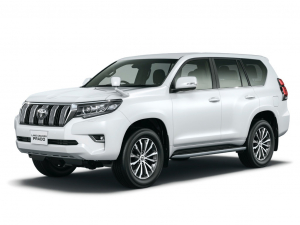 Коврик в багажник Toyota Land Cruiser Prado 150 2017-н.в. (правый руль 5 мест)