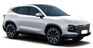 Коврики в салон Jetour Dashing 2022-н.в.