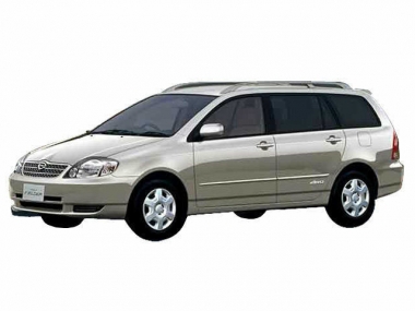 Коврики из экокожи 3D Toyota Corolla/Fielder (E120/130, правый руль) 2001-2006